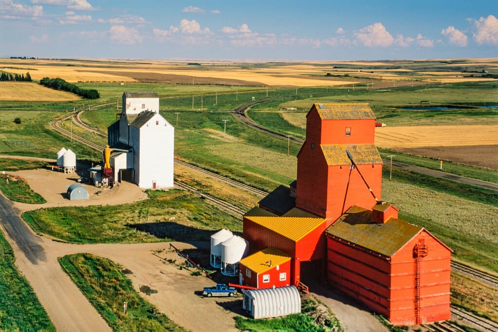 Saskatchewan wheat field