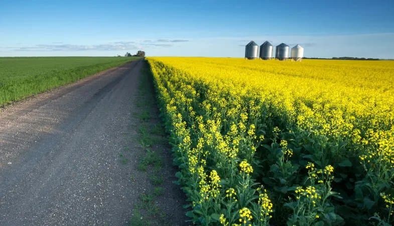 Acreages near Regina, Saskatchewan